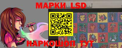 шишки Славгород