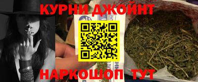 шишки Славгород