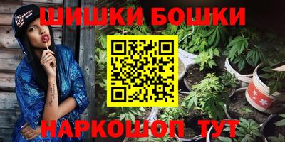 шишки Славгород